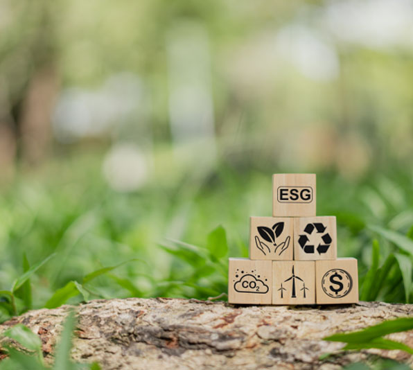 ESG Services